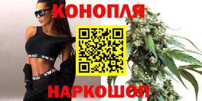 прущие грибы Владивосток