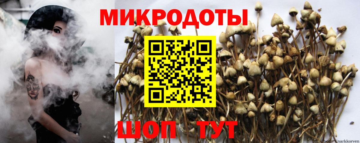 Псилоцибиновые грибы мицелий Арсеньев