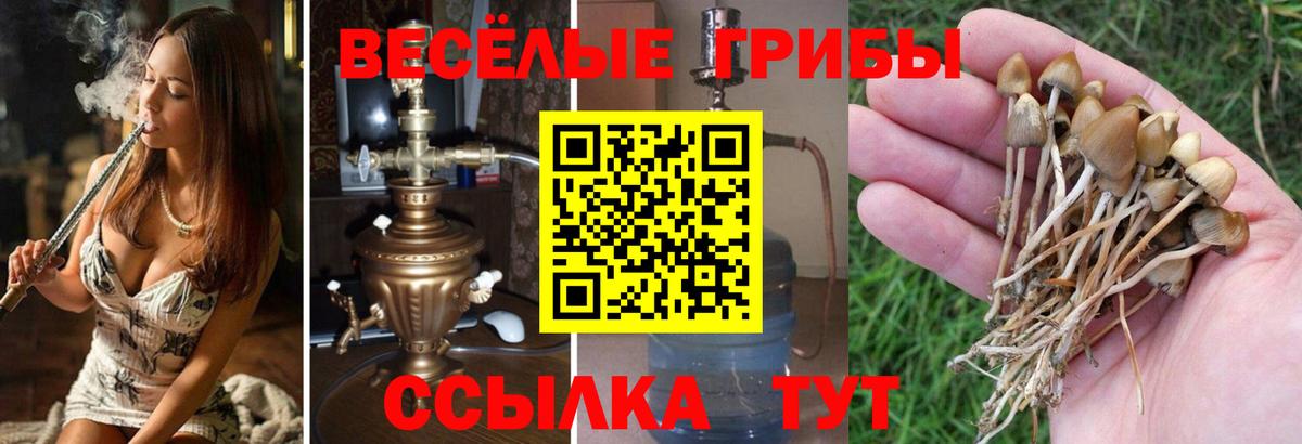 Псилоцибиновые грибы ЛСД  купить наркотики сайты  Арсеньев  Вход с VPN 